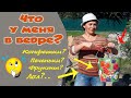 Какой инструмент понадобится для работы с арт - бетоном?