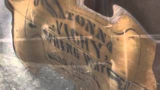 Owatonna's Mineral Springs: A Look Back, Steele County