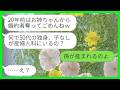 【LINE】20年前に私の婚約者を奪って駆け落ちした妹と産婦人科で再会「独身のくせに何してるの？更年期？w」私「孫が産まれるのよ」→幸せに微笑む姉を見た妹の反応がwww