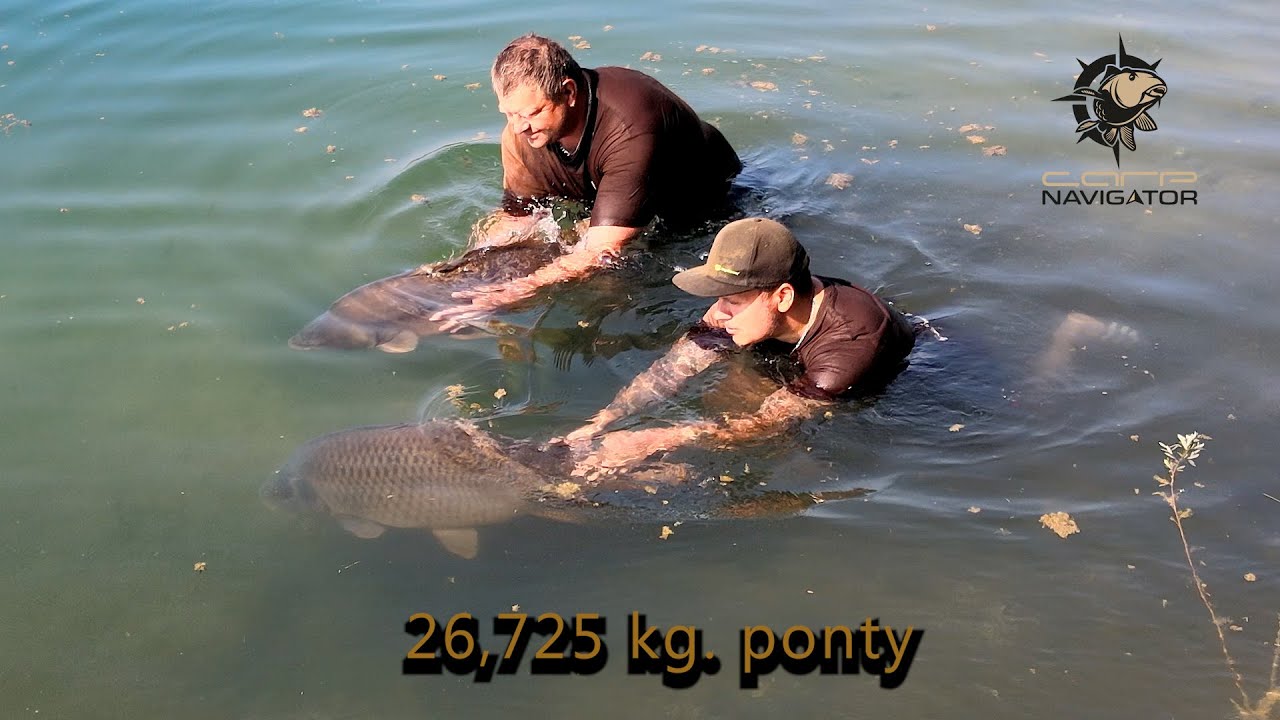 Gyékényesi nagy pontyok horgászata