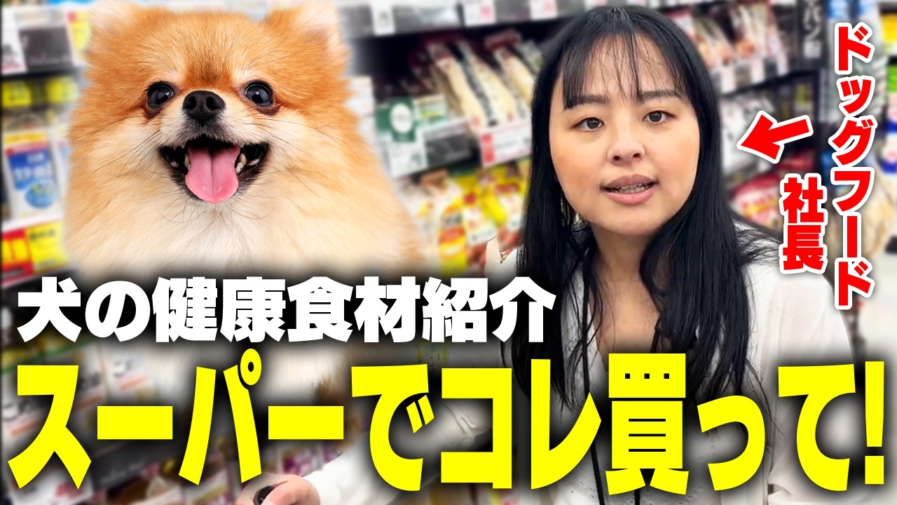 Your dog's diet will change! The CEO of a dog food company reveals