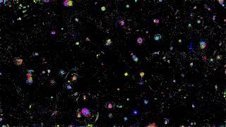 Web GPU 45k Particles - Enhanced Rules