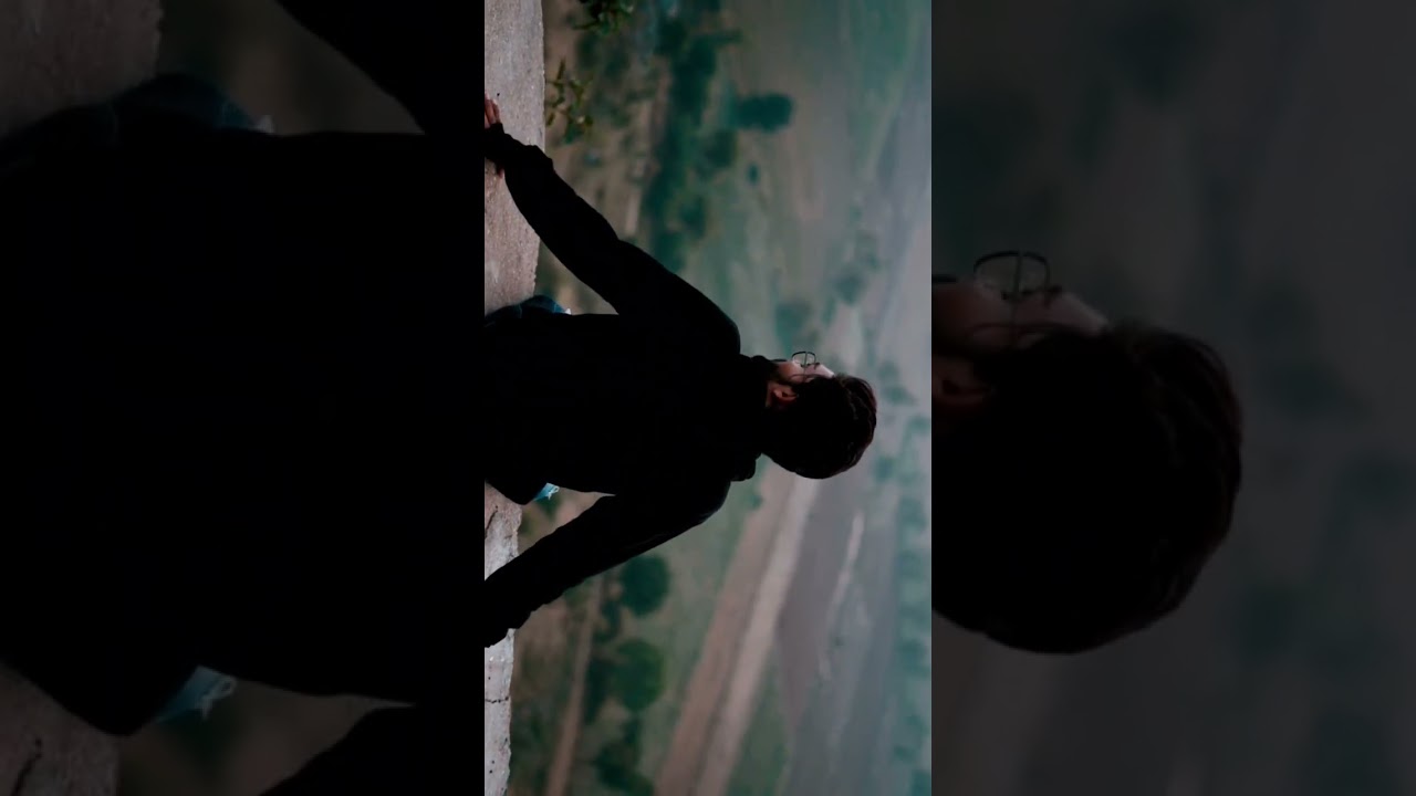 animal#satranga#animal#viral#trand#like#videography #subscribe #youtube