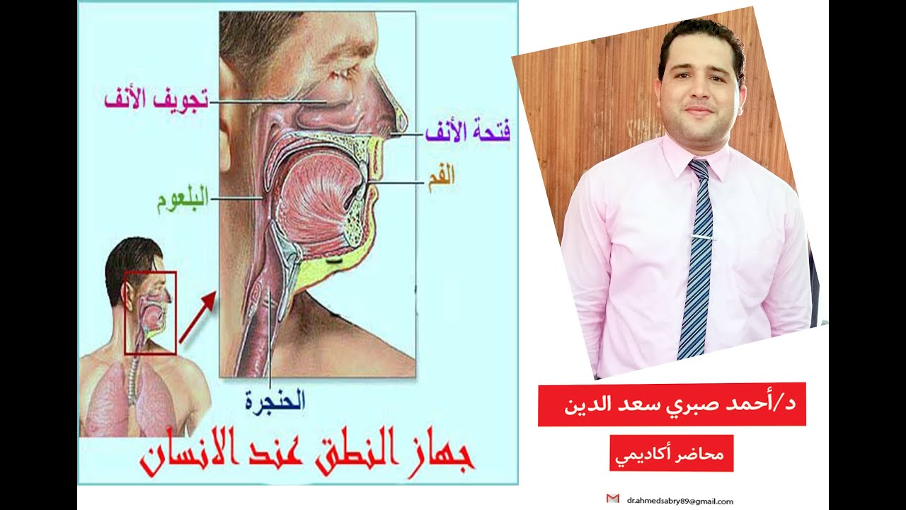 مكونات جهاز النطق عند الإنسان - علم الأصوات العام