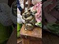 Cobb Antique Mall
