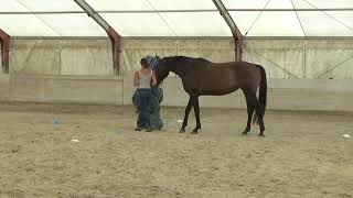 Behavior test  Example for less fearful