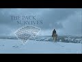(GoT) House Stark | The Pack Survives