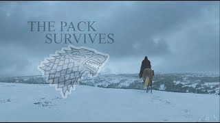 (GoT) House Stark | The Pack Survives