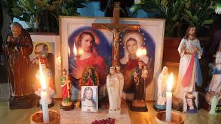 Tuesday Daily Rosary | Sorrowful Mysteries | Prayer for Healing, Peace &amp; Strength    