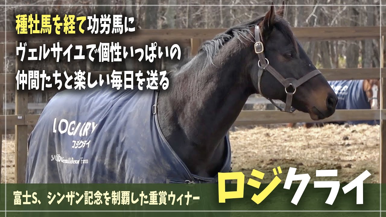 【ロジクライ】鼻をフゴフゴさせながら放牧地で牧草を探す♪ YouTube