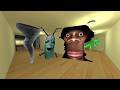 TAPKASH VS HI MY NAME IS AUUGHHH VS PLANKTON IN GMOD#gmod#nextbot#garrys mod