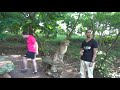 Занзибар Cheetahs Rock контактный зоопарк гепард