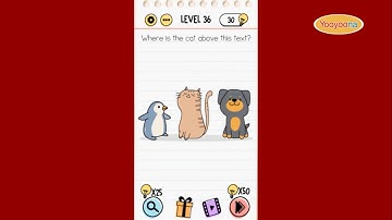 Brain Test Level 36 Where is the cat above this text