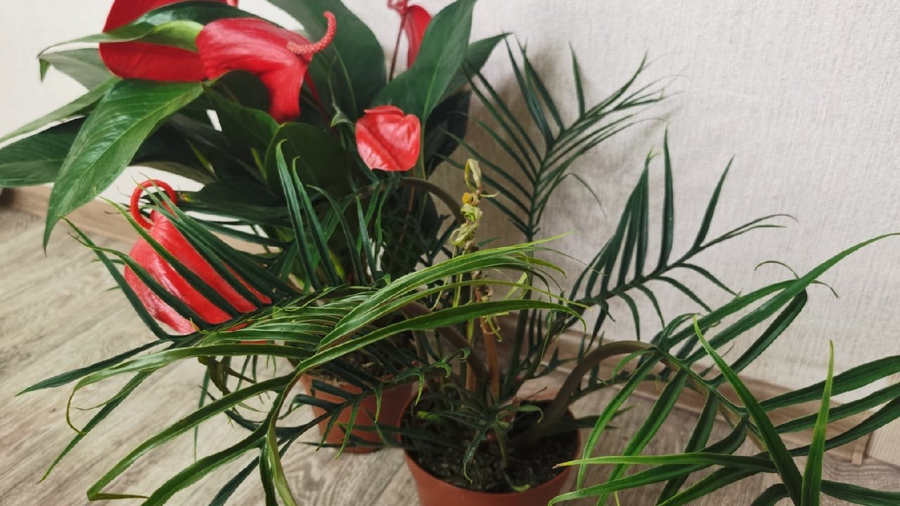 Шикарные НОВИНКИ/ Фил ТОРТУМ/ Сделал подарки себе на день рождения.