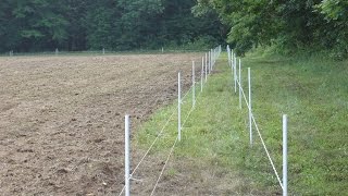 Protecting Your Food Plots from Deer Damage