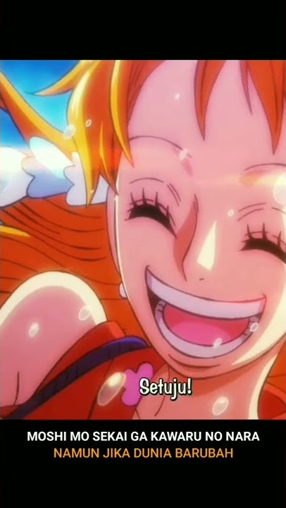 luffy & nakama before after new world ~ song : memories - 17years