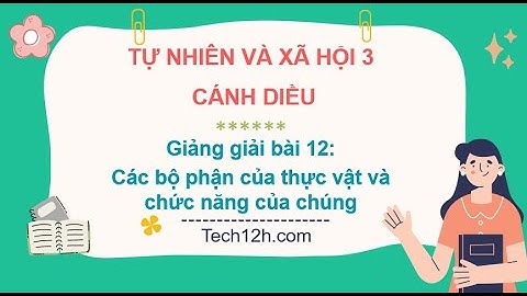 Giảng bài 12: Các bộ phận của thực vật và chức năng của chúng | Bài giảng TN&XH 3 cánh diều