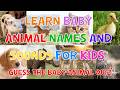 Learn Baby Animal Names And Sounds For Kids 🐶🐱 | Guess The Baby Animal Sound Quiz