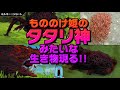 【何この生き物！😱】もののけ姫のタタリ神みたいな生き物が現れる！ #shorts