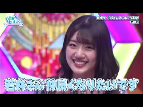 【日向坂46】若林ガールズコレクション（若様への一言アピール集）
