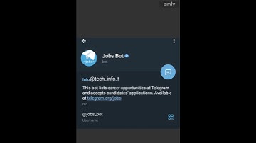 Top telegram bot | Telegram bot