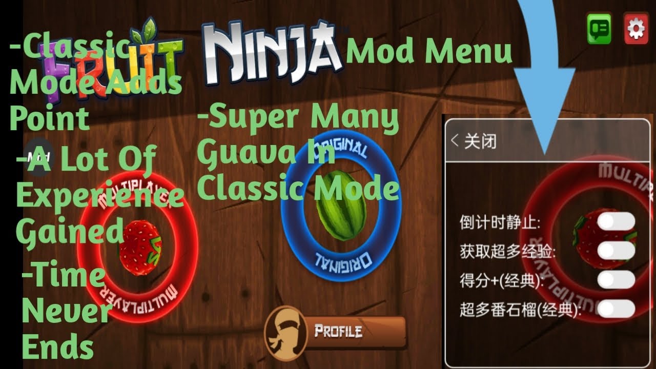 Fruit Ninja Classic Hack! 