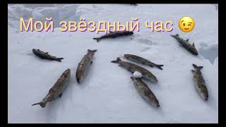 Подлёдная рыбалка в Якутии (мирнинский район)