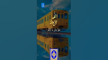 قرآن كريم #الرحمن #اكسبلور #القزابري #العظماء #دويتو #المصحف #duet #تيك_توك #لايك #صباح_الخير