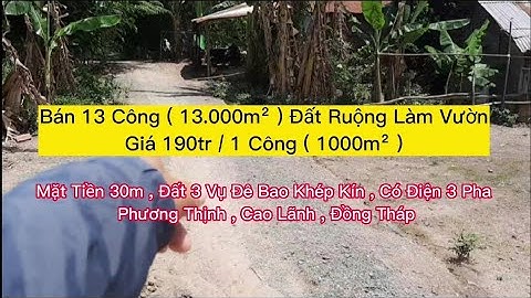 Bán 13 Công Đất Ruộng Làm Vườn|Mặt Tiền 30m,Đất 3 Vụ Đê Bao Khép Kín,Có Điện 3 Pha|Giá 190tr/1 Công