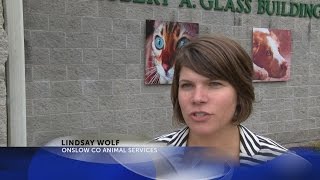 Onslow Co Animal Shelter extends quarantine until Thursday