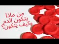 من ماذا يتكون الدم البشرى وكيف يتكون 