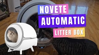 Novete Self Cleaning Litter Box Review and Demo