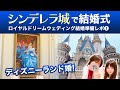 【ディズニー結婚式】憧れのシンデレラ城でロイヤルドリームウェディング!結婚準備レポ #ディズニーランド #221 #結婚式 #城婚 #RDW #フーフーバー