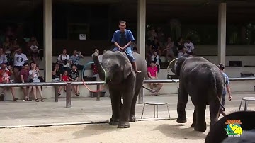 Half Day Sightseeing Tour With Namuang Safari Samui