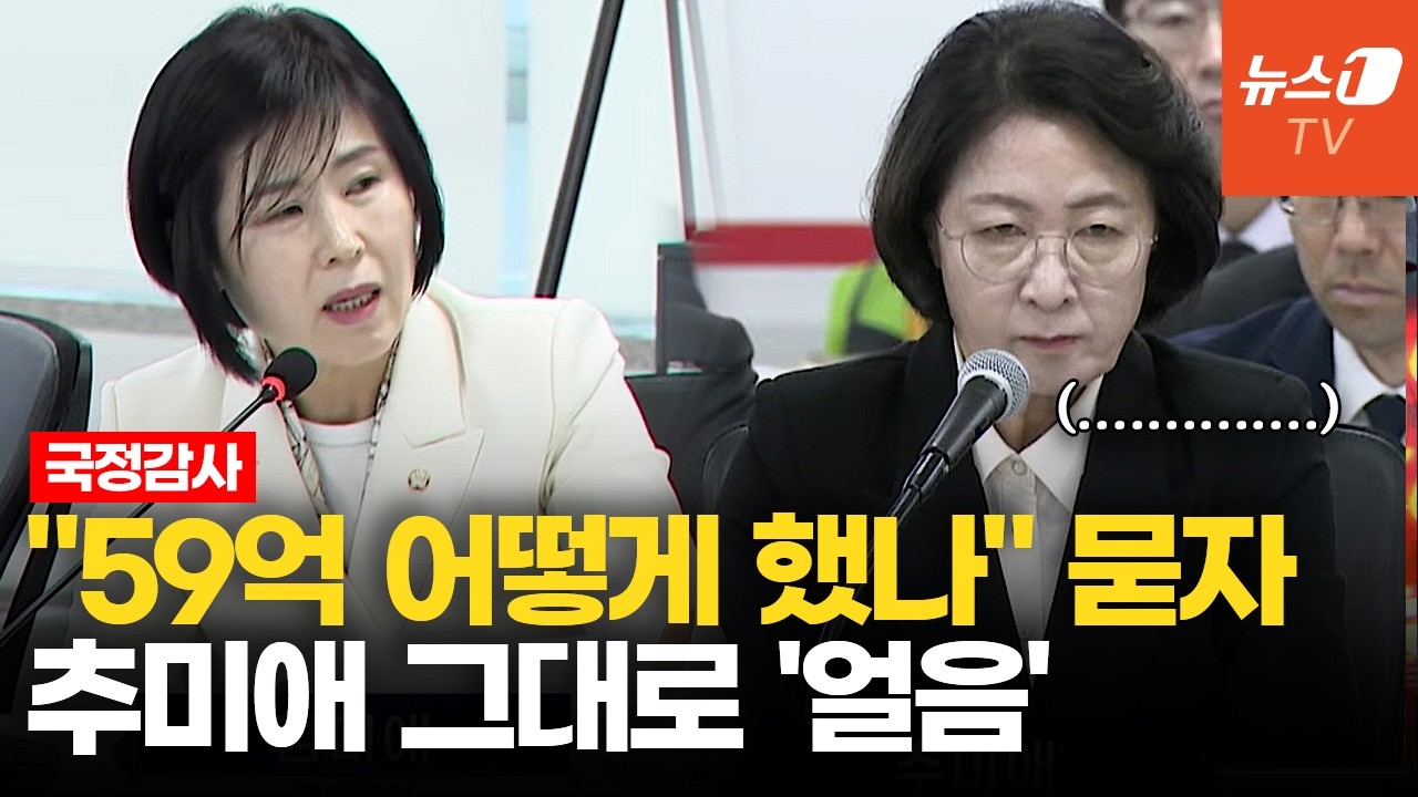 "소방안전교부세 59억 어떻게 했나" 묻자…추미애 말문 '턱' 썸네일