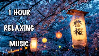 1 Hour Relaxing Japanese Music | Cherry Blossom (Loop) #relaxingmusic  #karatemusic #taichimusic
