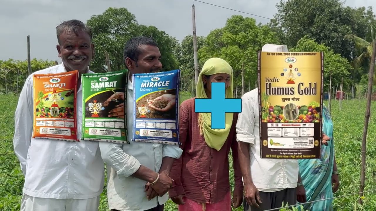 SCTवैदीक🍅टोमॅटोची हेल्थ बघून 1500 प्लॅाटचे कंसल्टंट,PHD कृषीसेवा केंद्र संचालक का बनले SCTचे चाहते⁉️