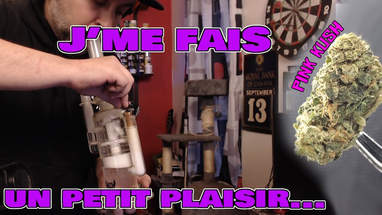 PINK KUSH - 22 % THC - PETIT PLAISIR - PURE LAINE - Rose Science Vie, Test et présentation Weed SQDC