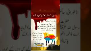 Qurbani k janwar ka khoon ka pehla qatra|قربانی کے جانور کا پہلا خون کا قطرہ|#shorts