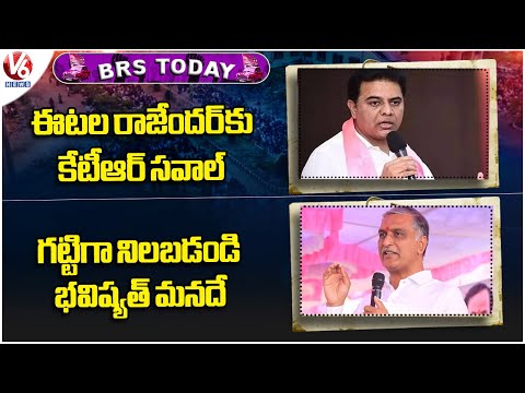 BRS Today : KTR Fires On Etela Rajender | Harish Rao Comments On Congress | V6 News - V6NEWSTELUGU