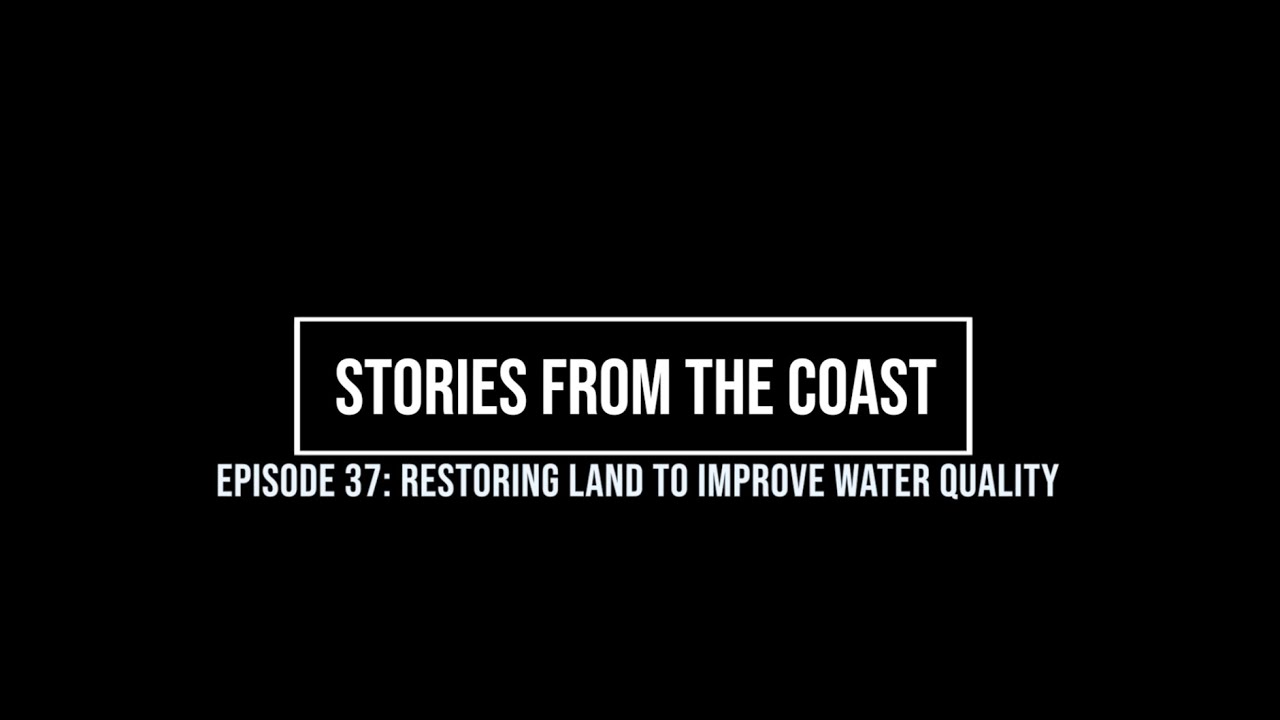 Restoring Land to Improve Water Quality