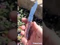 Canivetes artesanais vários modelos que ja foram feitos @cesarmaidel #canivete #slipjoint