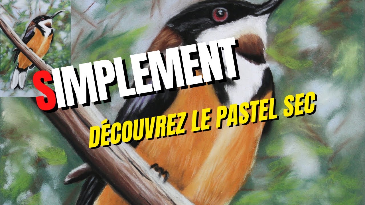 Comment utiliser le pastel sec