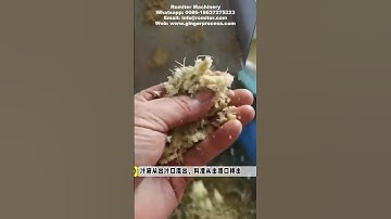 Automatic Ginger Juicer Machine