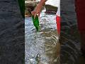 Pesca fácil usando una botella de vino