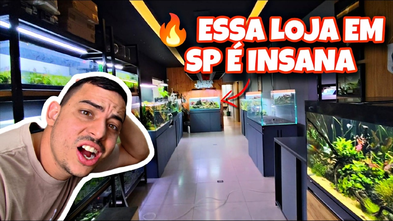 ESSA LOJA DE AQUARISMO EM SP É INSANA! 😱🔥