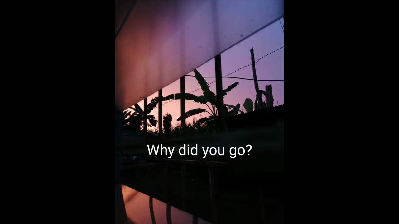 I liked you so much, We lost it -Ysabelle Cuevas