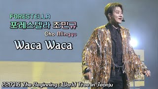 Waka Waka | 포레스텔라 조민규(Cho MinGyu) | The Beginning : World Tree in Jeonju | 220716(토)