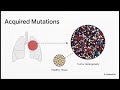 Students Lecture series 06: Somatic Vs. Germline variant calling
