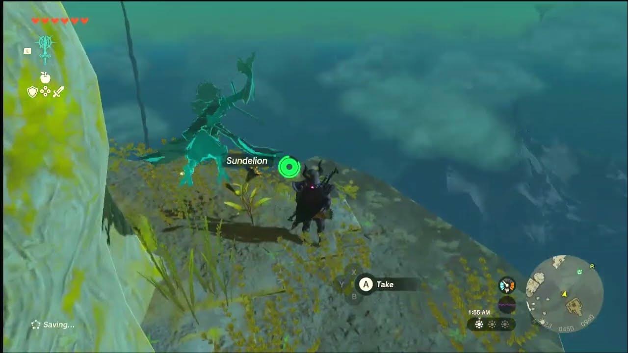 How To Get The Vah Ruta Divine Helm Tears Of The Kingdom YouTube